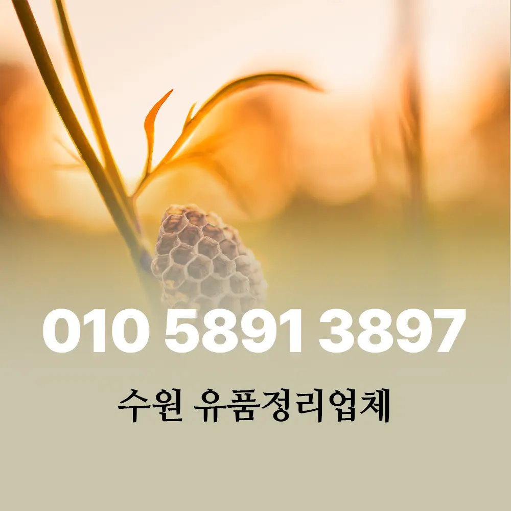 You are currently viewing 수원 유품정리 업체 합리적 비용, 올바른 절차