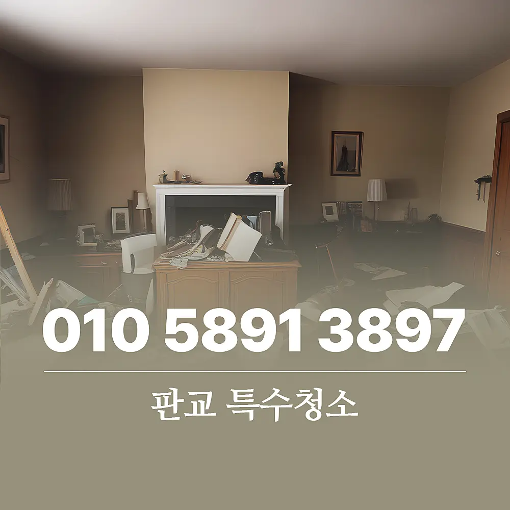 Read more about the article 판교 특수청소 유품정리 서비스 절차 가이드