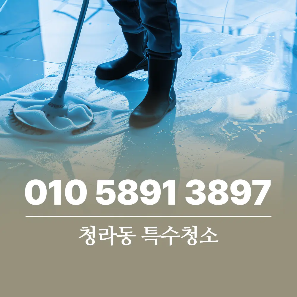 Read more about the article 청라동 특수청소 현장의 완벽한 복구와 오염 제거 노하우