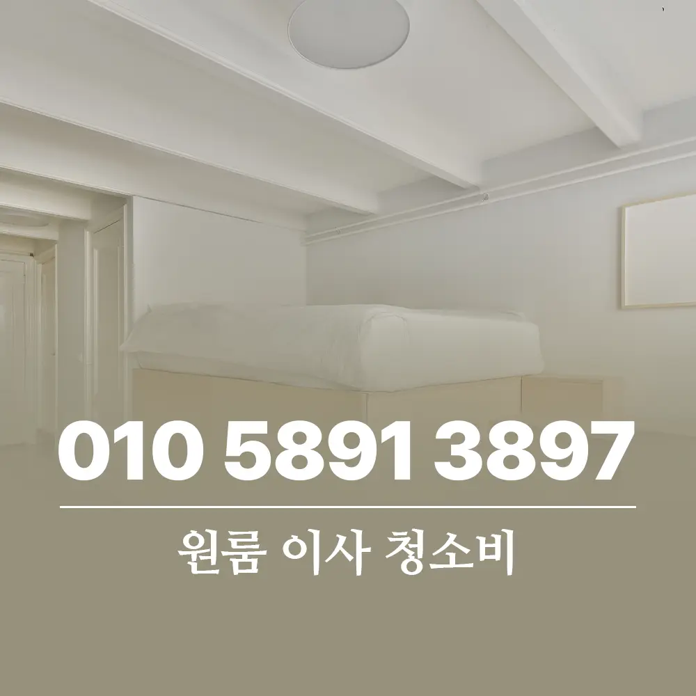 Read more about the article 원룸 이사 청소비 아끼려다 몸살 나지 말고 효율 따져야 하는 이유