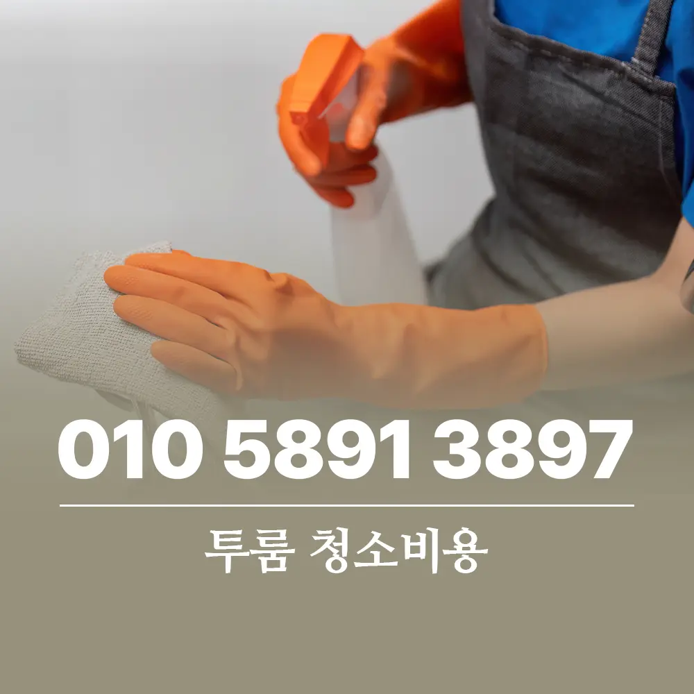 Read more about the article 투룸 청소비용 투입으로 얻는 주거 가치와 시간 효율 극대화 전략