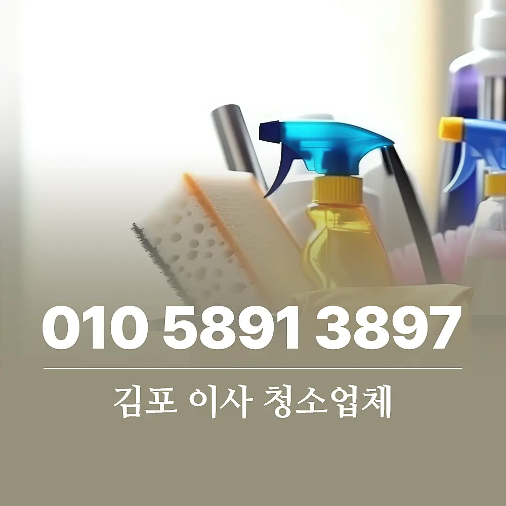 김포 이사 청소업체