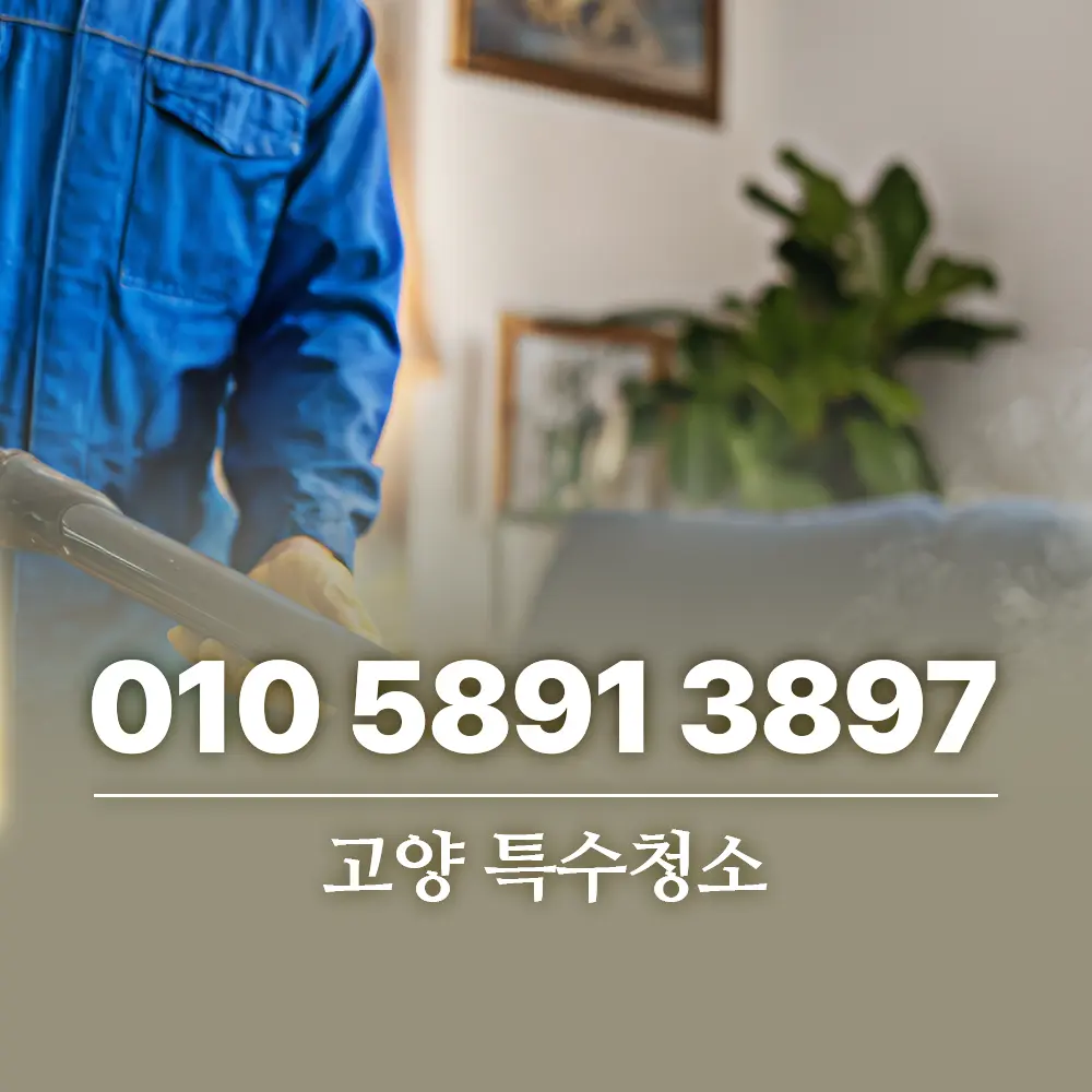 고양 특수청소 업체