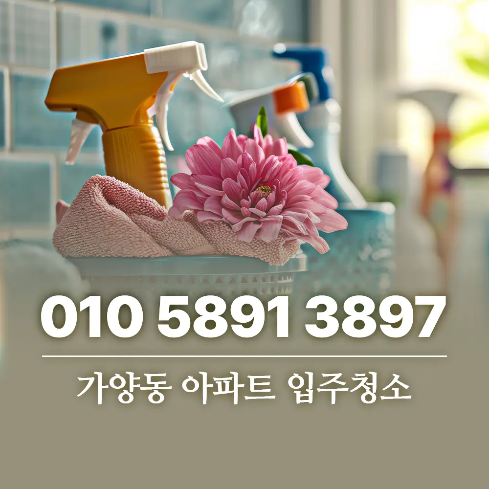 Read more about the article 아파트청소 가양동 입주청소 전문업체 제대로 고르는 기준