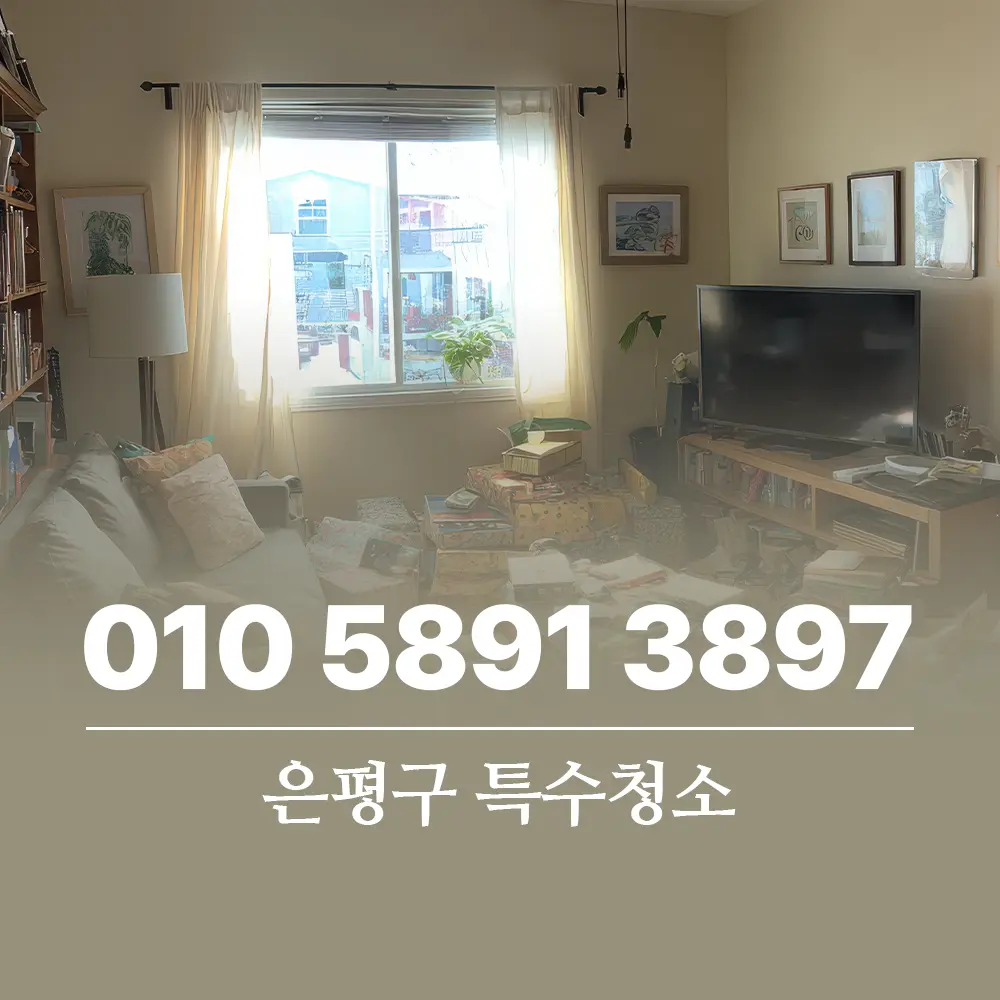 은평구 특수청소