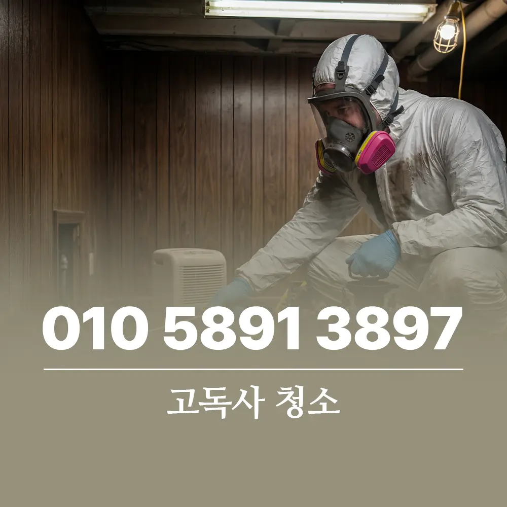 고독사 청소