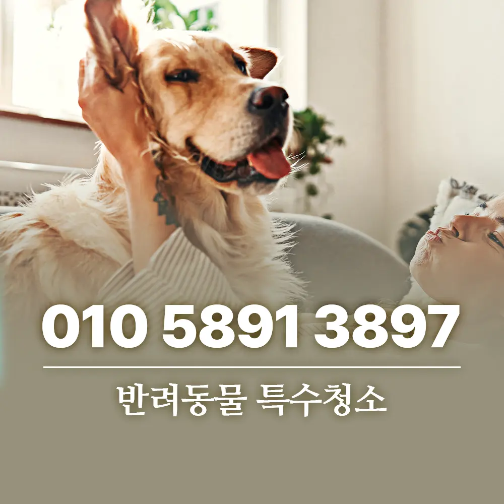 반려동물 특수청소