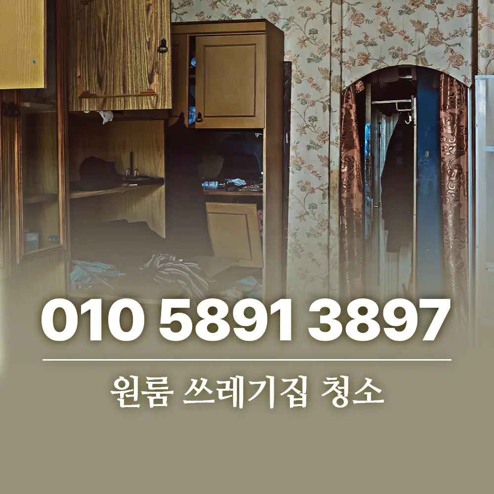 You are currently viewing 원룸 쓰레기집 청소 전문가 도움 필요한 경우