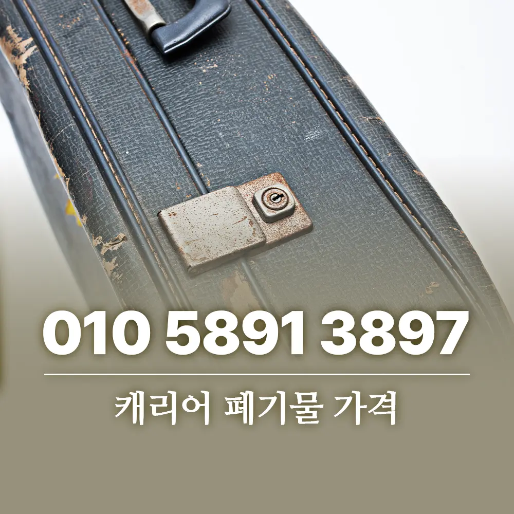 You are currently viewing 캐리어 폐기물 가격 신고 방법부터 처리 팁까지