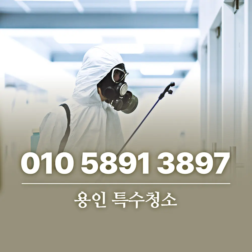 용인 특수청소